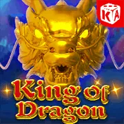 Lợi ích độc quyền khi đăng ký DV88