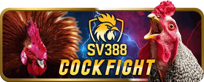 Hướng dẫn đăng ký tài khoản DV88